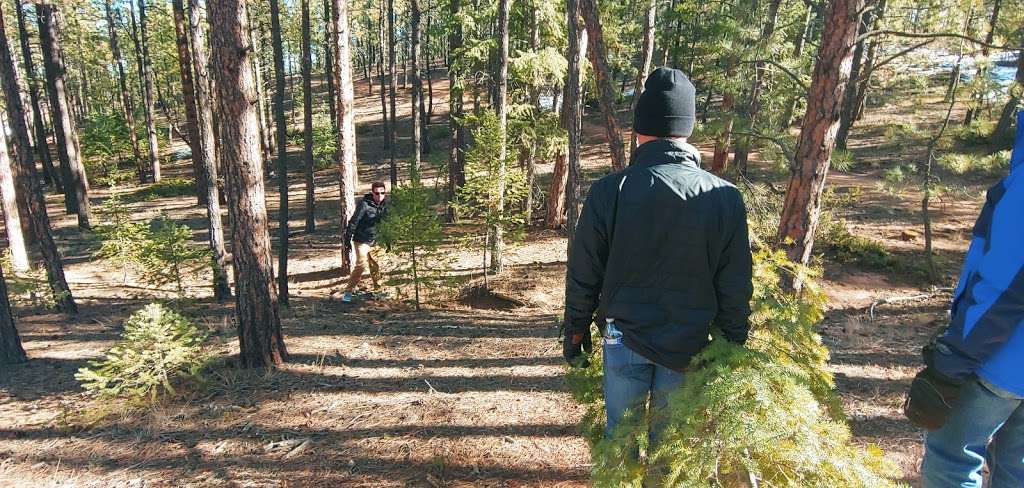 Parking lot for Colorado Trail access | Pine, CO 80470, USA