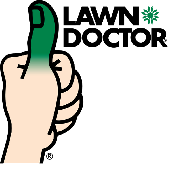 Lawn Doctor of Bridgewater | 126 Somerset St Rear, Somerville, NJ 08876, USA | Phone: (908) 526-3030