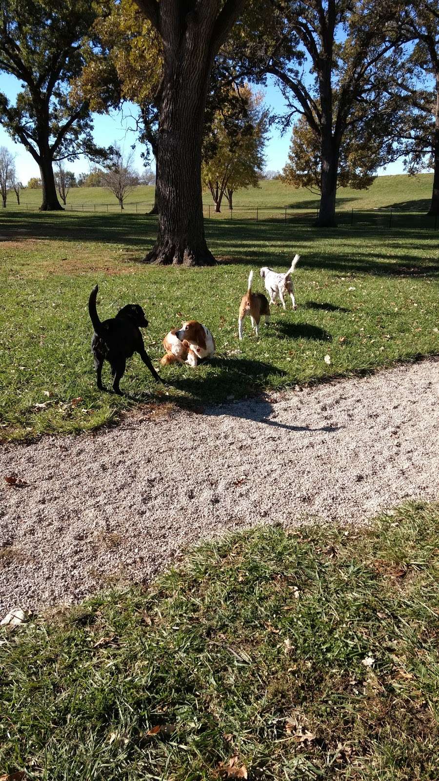 Bark Park | Ottawa, KS 66067, USA | Phone: (785) 229-3600