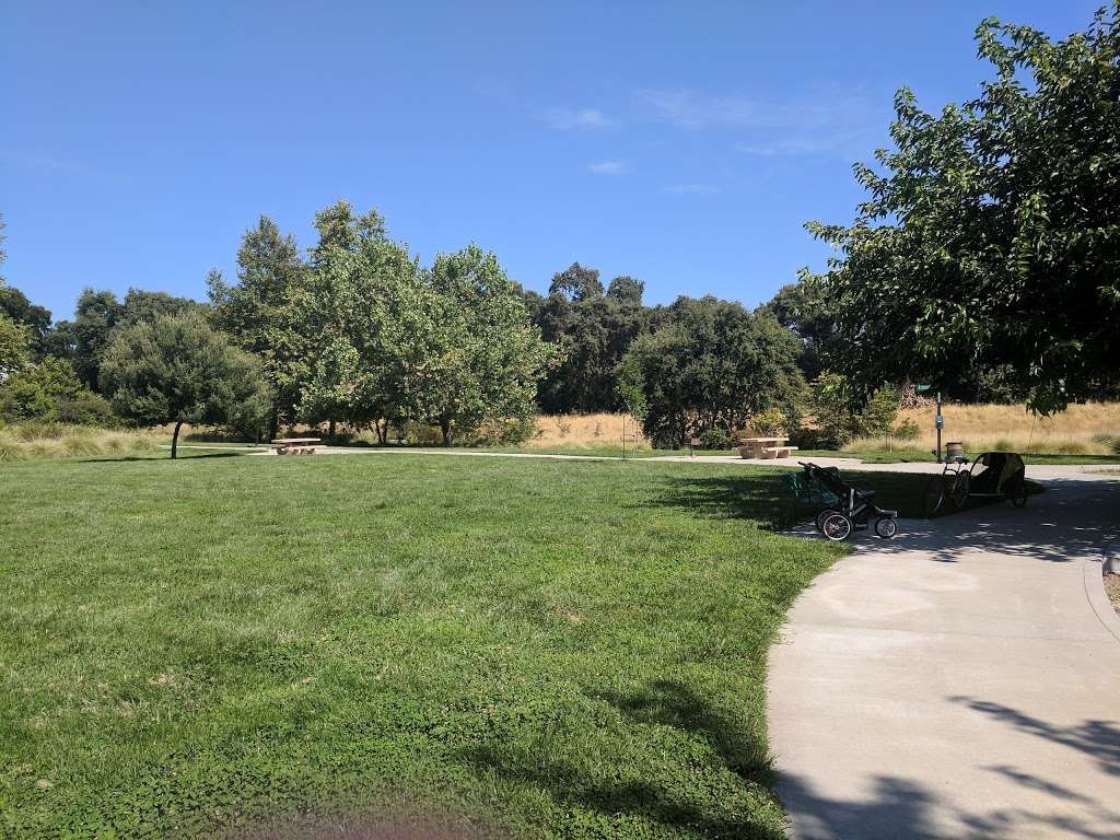 Willowbank Park | Davis, CA 95618, USA | Phone: (530) 750-7570