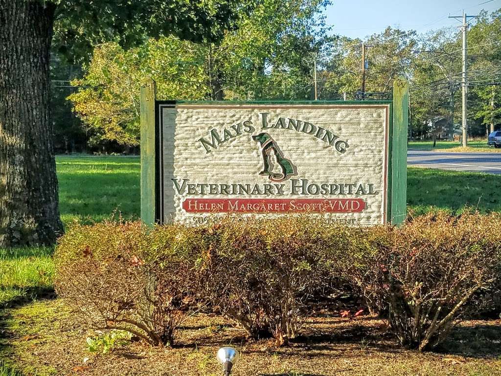 Mays Landing Veterinary Hospital, LLC | 2304 NJ-50, Mays Landing, NJ 08330 | Phone: (609) 909-8907