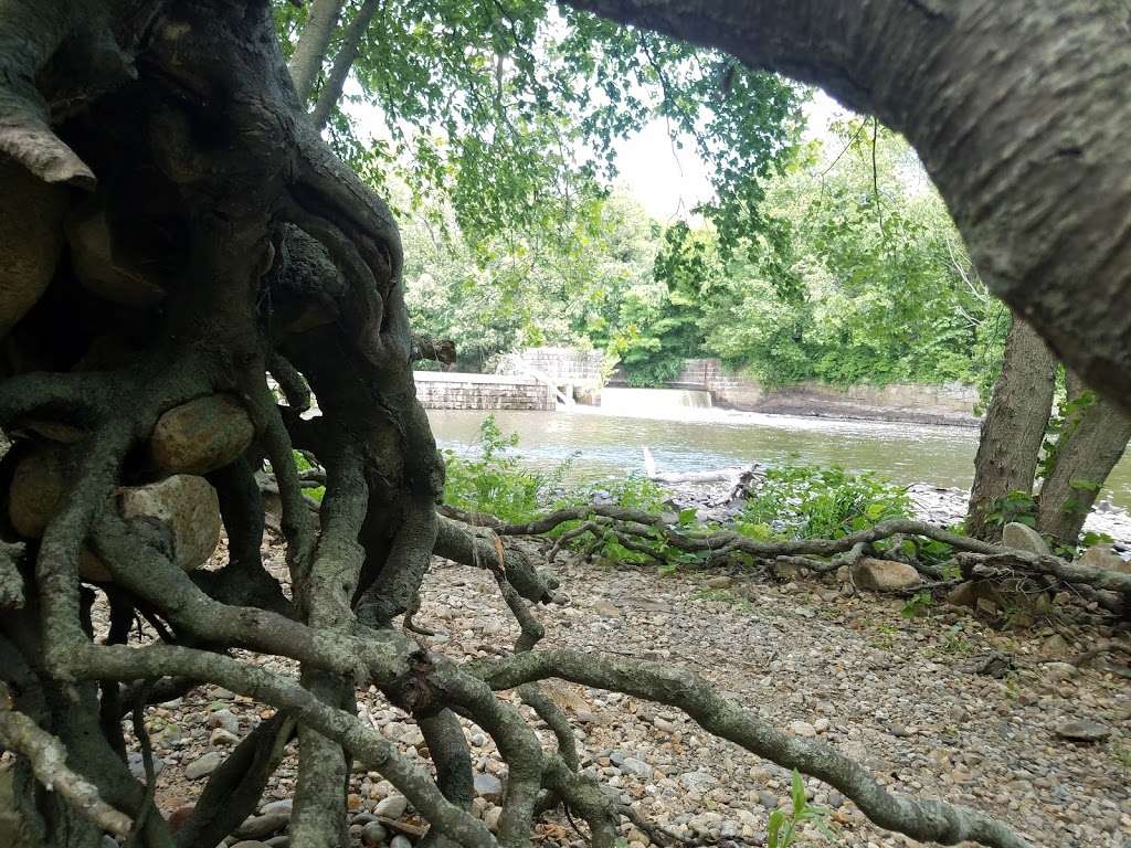 Blackstone Bicycles | 391 Mendon Rd, Cumberland, RI 02864, USA | Phone: (401) 335-3163