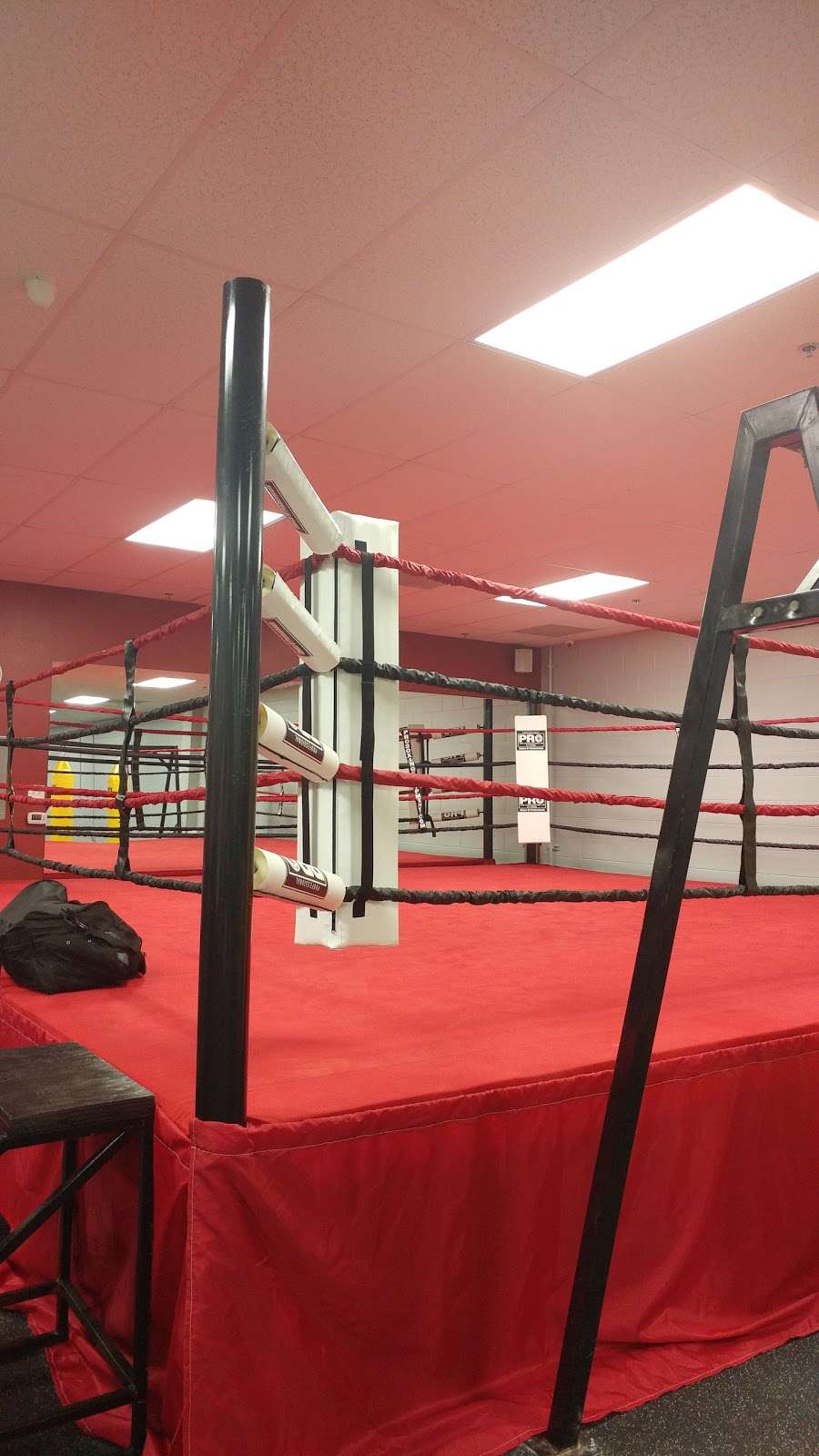 Punch It Up Fitness | 14230 Chino Hills Pkwy I, Chino Hills, CA 91709, USA | Phone: (909) 464-8190