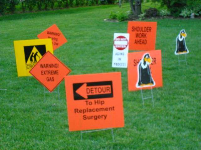 Flamingos2Go | 218 Angela Cir, Oswego, IL 60543, USA | Phone: (630) 768-7953