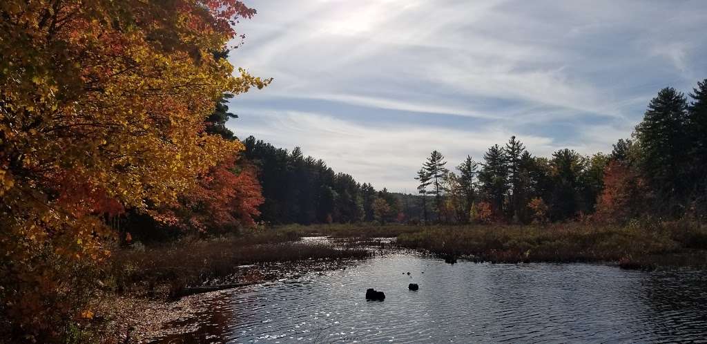 Robinson Pond Park | Hudson, NH 03051, USA | Phone: (603) 880-1600