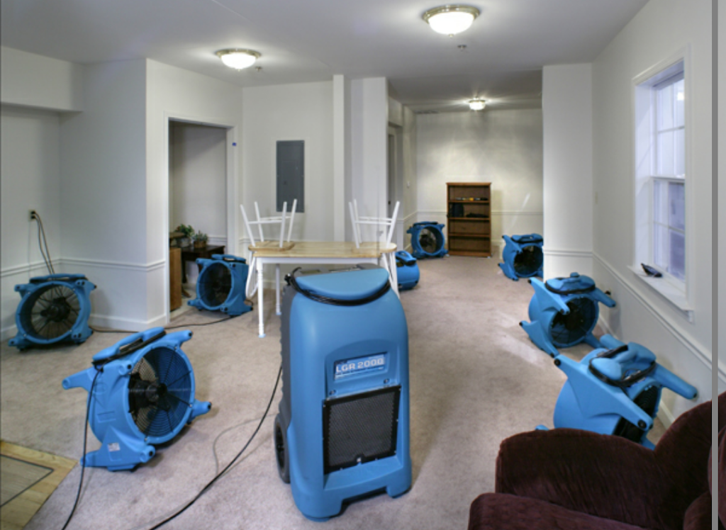 Phillip White Water Restoration & Carpet Cleaning LLC | 440 Santiago Ave, Orlando, FL 32807 | Phone: (407) 860-5846