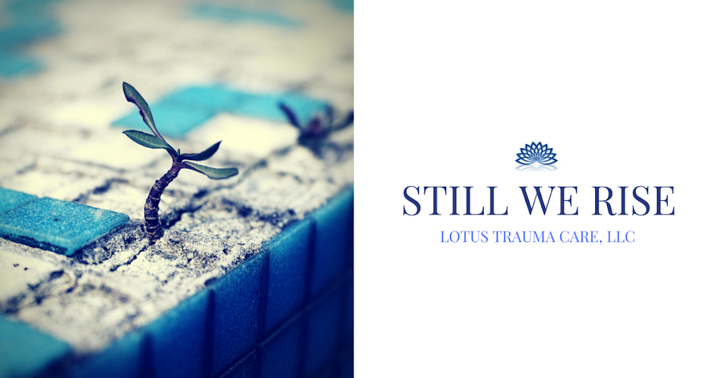 Lotus Trauma Care, LLC | 2151 W 79th St, Chicago, IL 60620, USA | Phone: (872) 233-8207