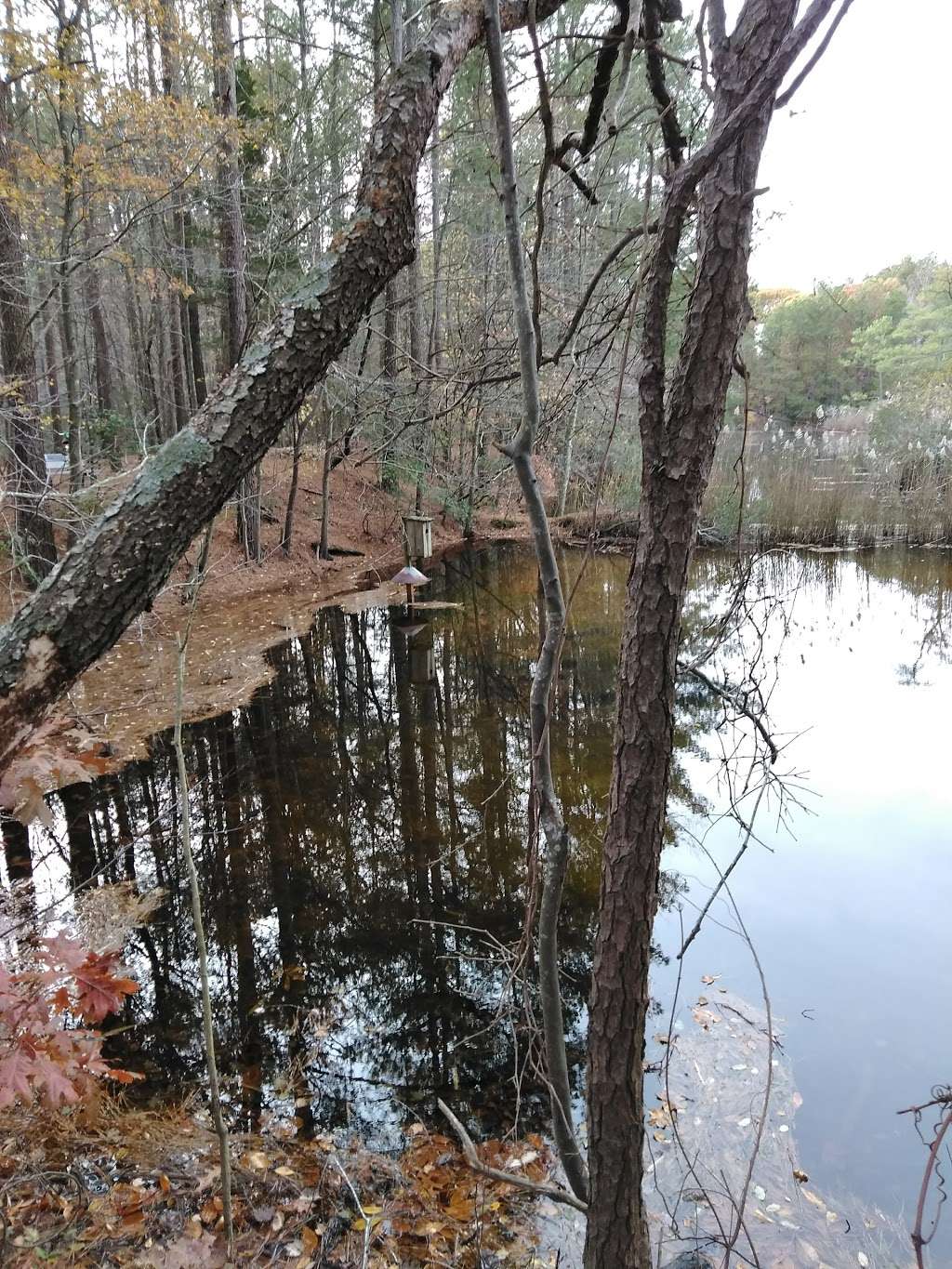 Holts Landing State Park | Holts Landing Road, Park office at 39415 Inlet Rd., Rehoboth Beach, DE, Dagsboro, DE 19939, USA | Phone: (302) 227-2800