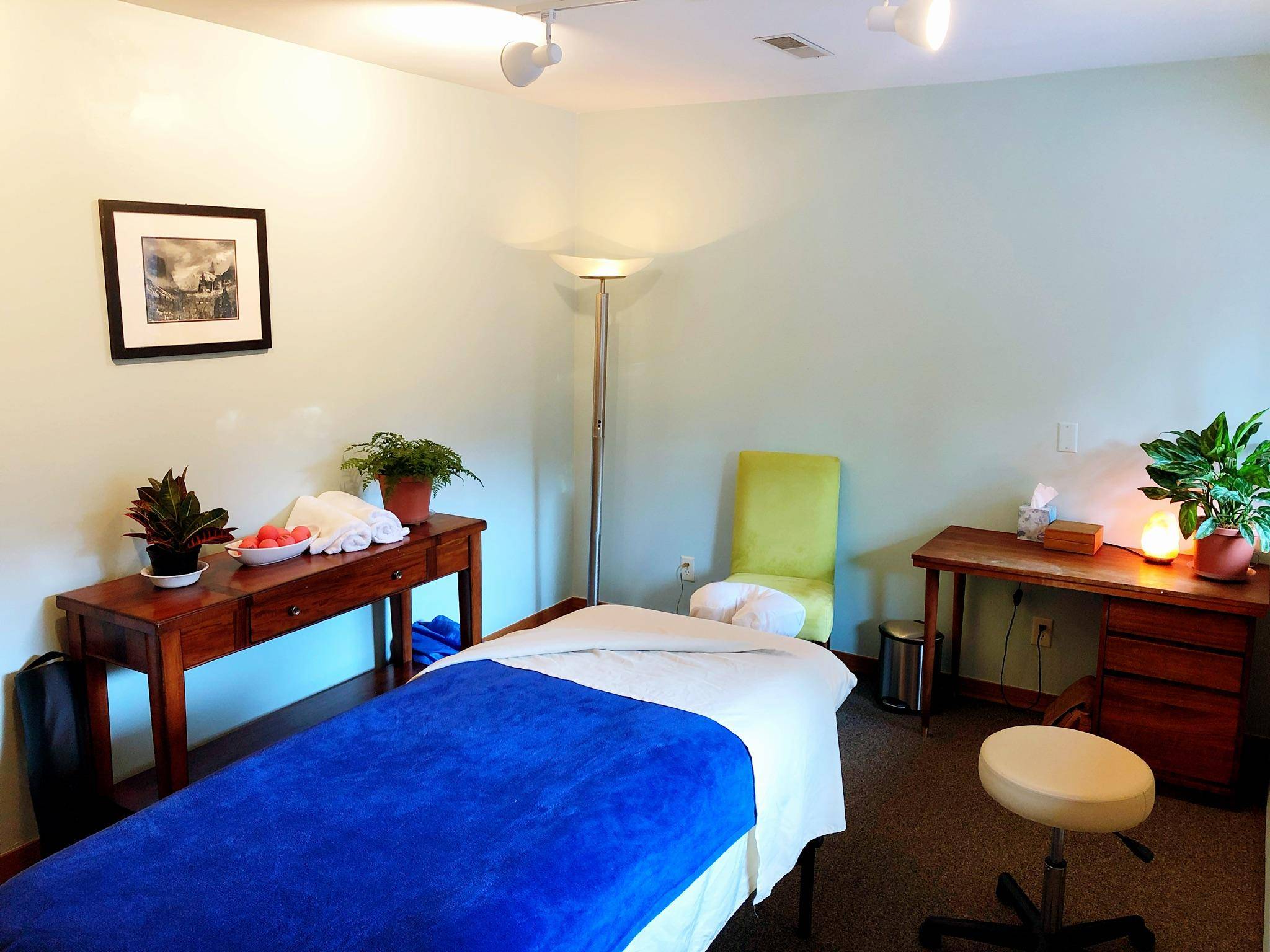 Elysian Clinical Massage and Bodywork | 4155 Darley Ave a3, Boulder, CO 80305, United States | Phone: (720) 855-5012