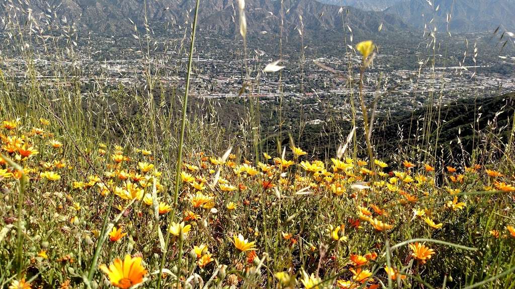 Verdugo Mountains Open Space Preserve | Oakmount View Dr, Glendale, CA 91209, USA | Phone: (818) 880-0363