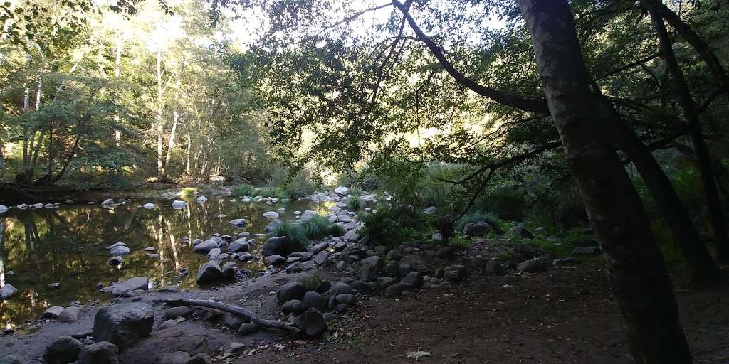 Rincon Parking Lot, Henry Cowell SP | CA-9, Santa Cruz, CA 95060