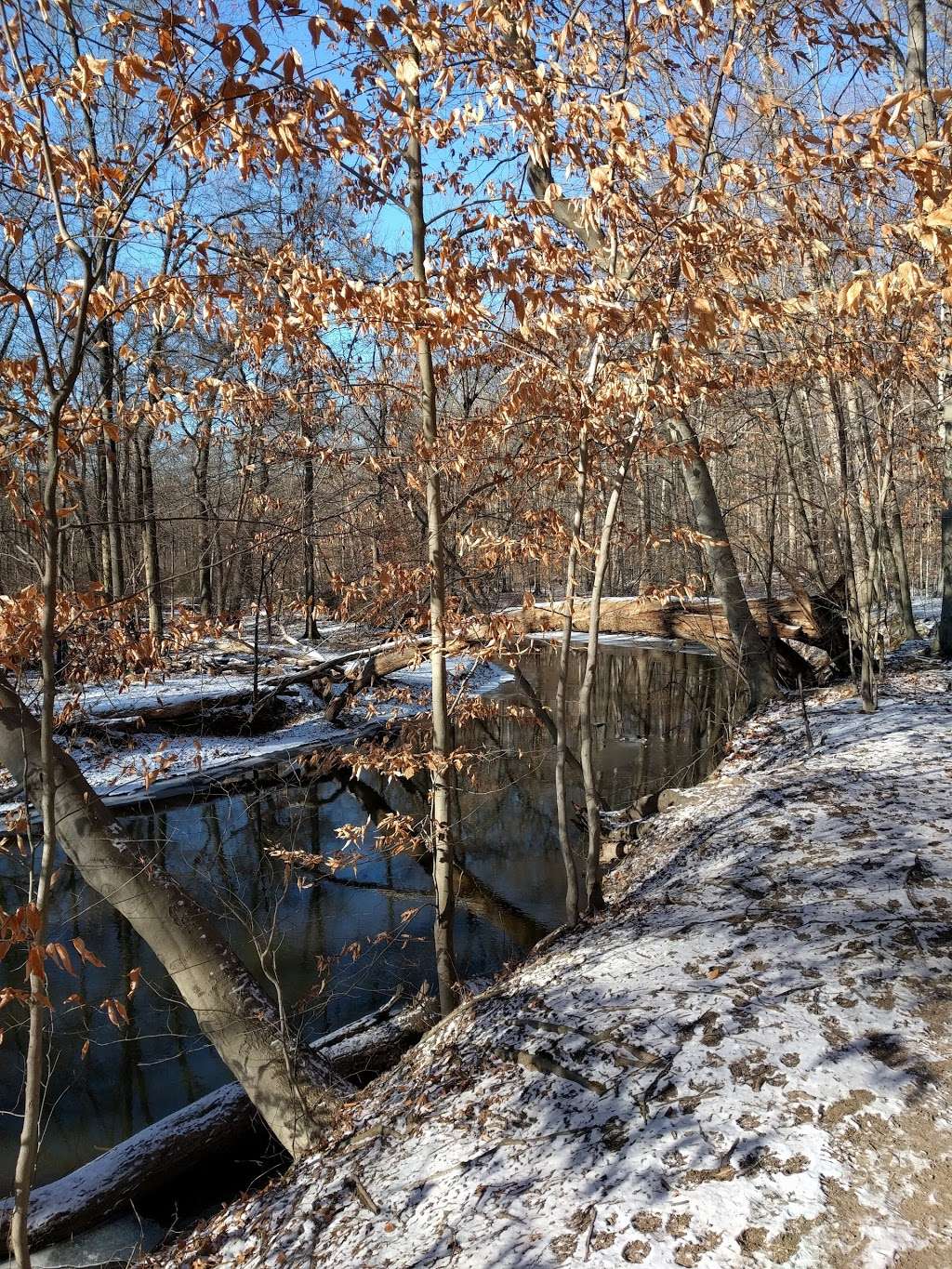 Bonnabel Nature Park | Old Tappan, NJ 07675, USA