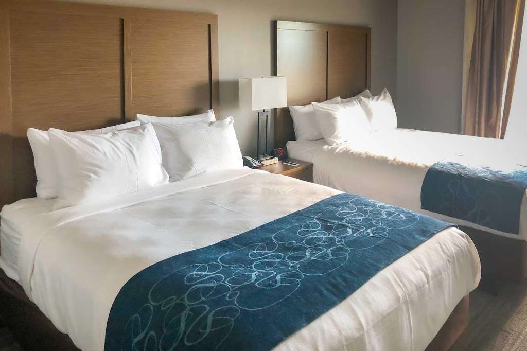 Comfort Suites DeSoto Dallas South | 1211 E Wintergreen Rd, DeSoto, TX 75115, USA | Phone: (469) 677-5452