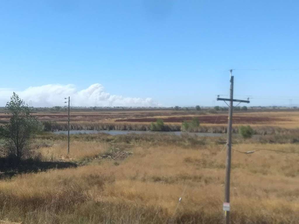 Liberty Island Ecological Reserve | Liberty Island Rd, Dixon, CA 95620, USA