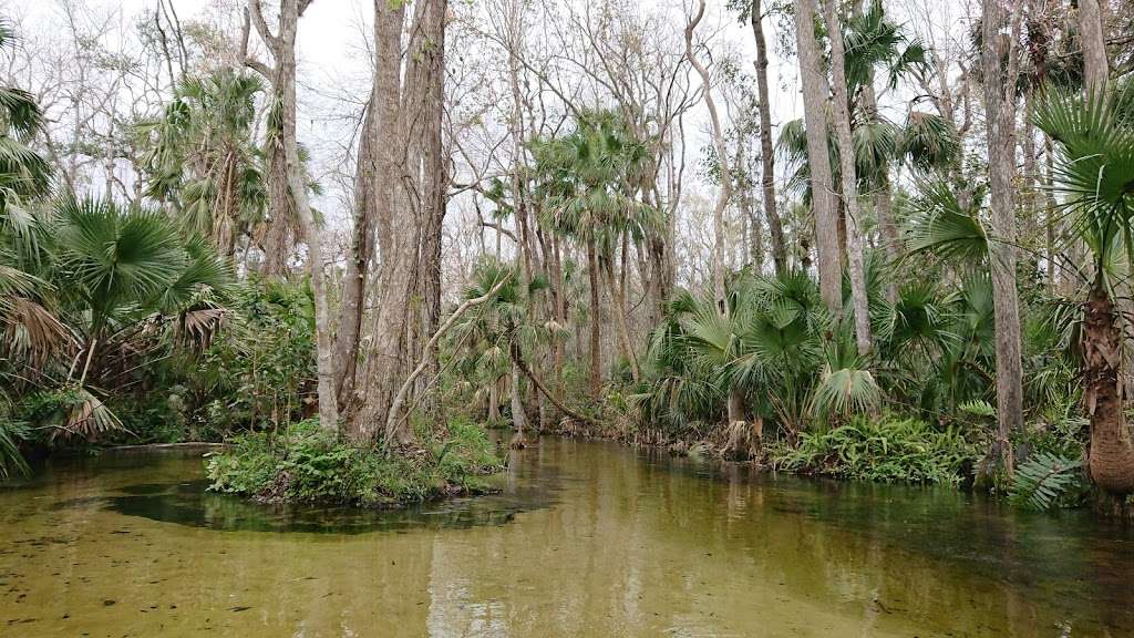 Kelly Park Campground | 282010000000010, Apopka, FL 32712, USA