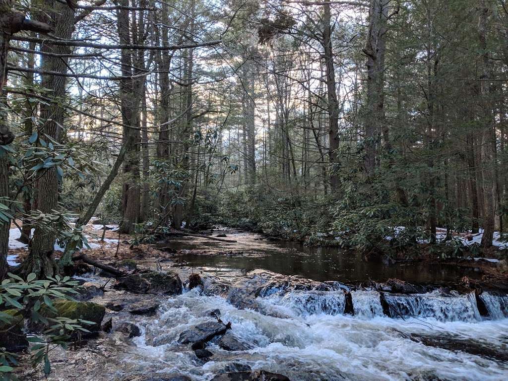 Switchback Railroad Trail Entrance | 20 Hill Rd, Jim Thorpe, PA 18229, USA