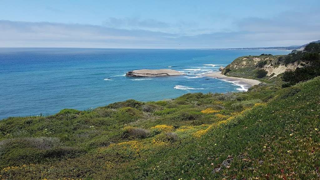 Pelican Rock Parking | Davenport, CA 95017