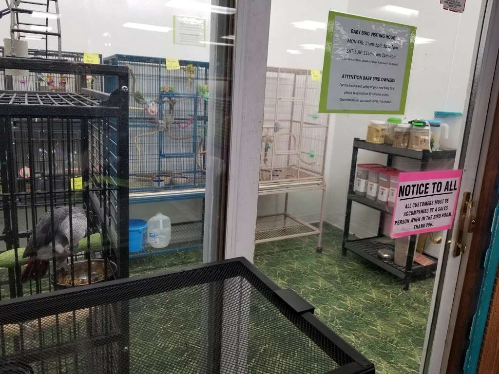 Birds & Beasts Pet Shop | 35 Berkshire Dr # 18, Crystal Lake, IL 60014, USA | Phone: (815) 477-7387