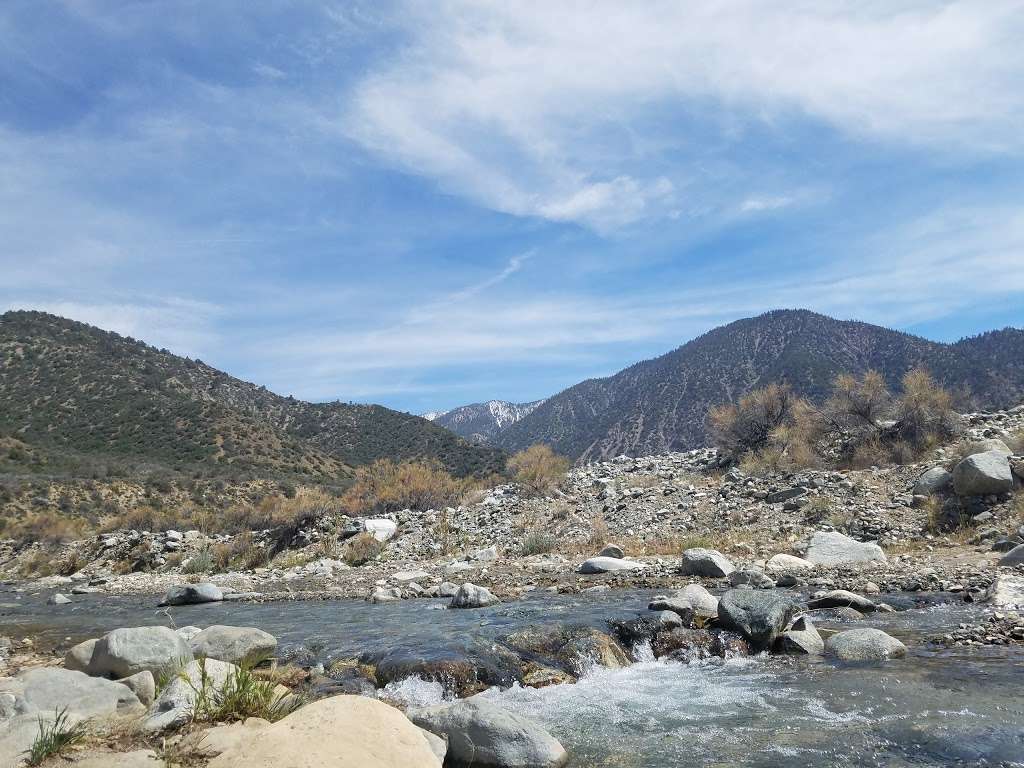 Sycamore Flat Campground | Pearblossom, CA 93553, USA