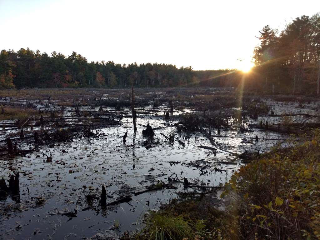 F. Gilbert Hills State Forest | 45 Mill St, Foxborough, MA 02035, USA | Phone: (508) 543-9084