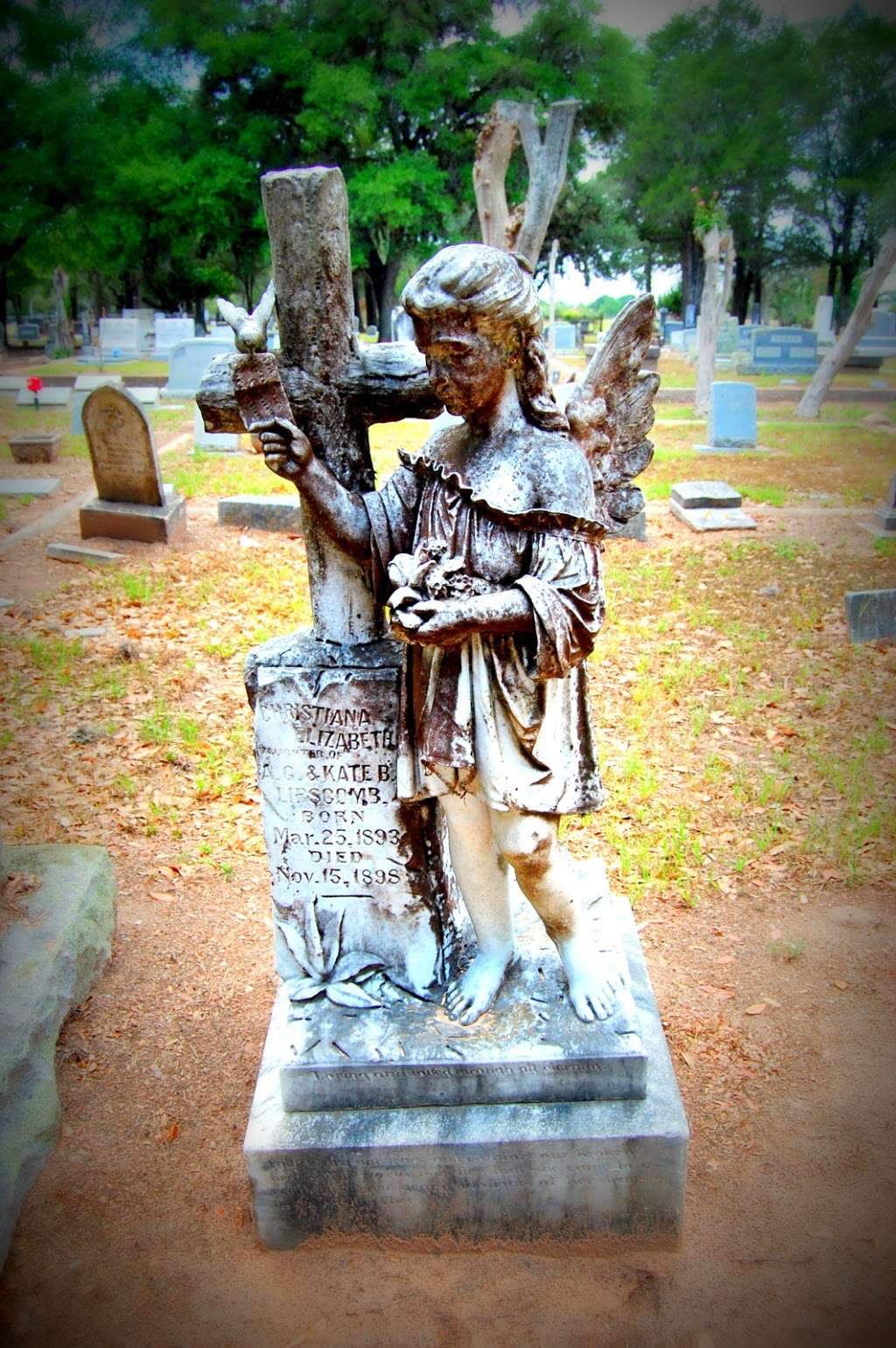 Houston Cemetery | Hempstead, TX 77445