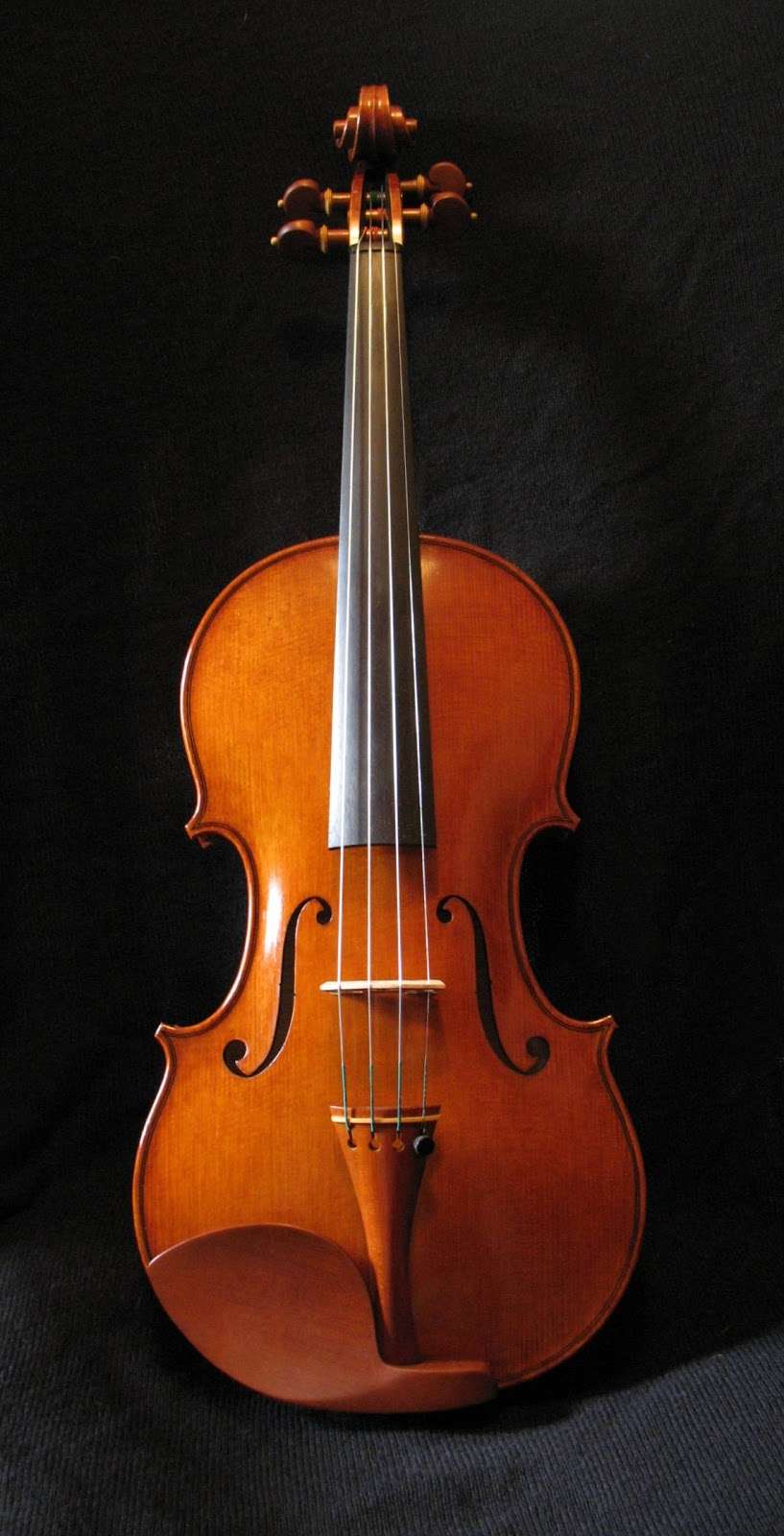 Sound and Fury Violins, LLC | 1470 S Quebec Way #28, Denver, CO 80231 | Phone: (720) 364-8669