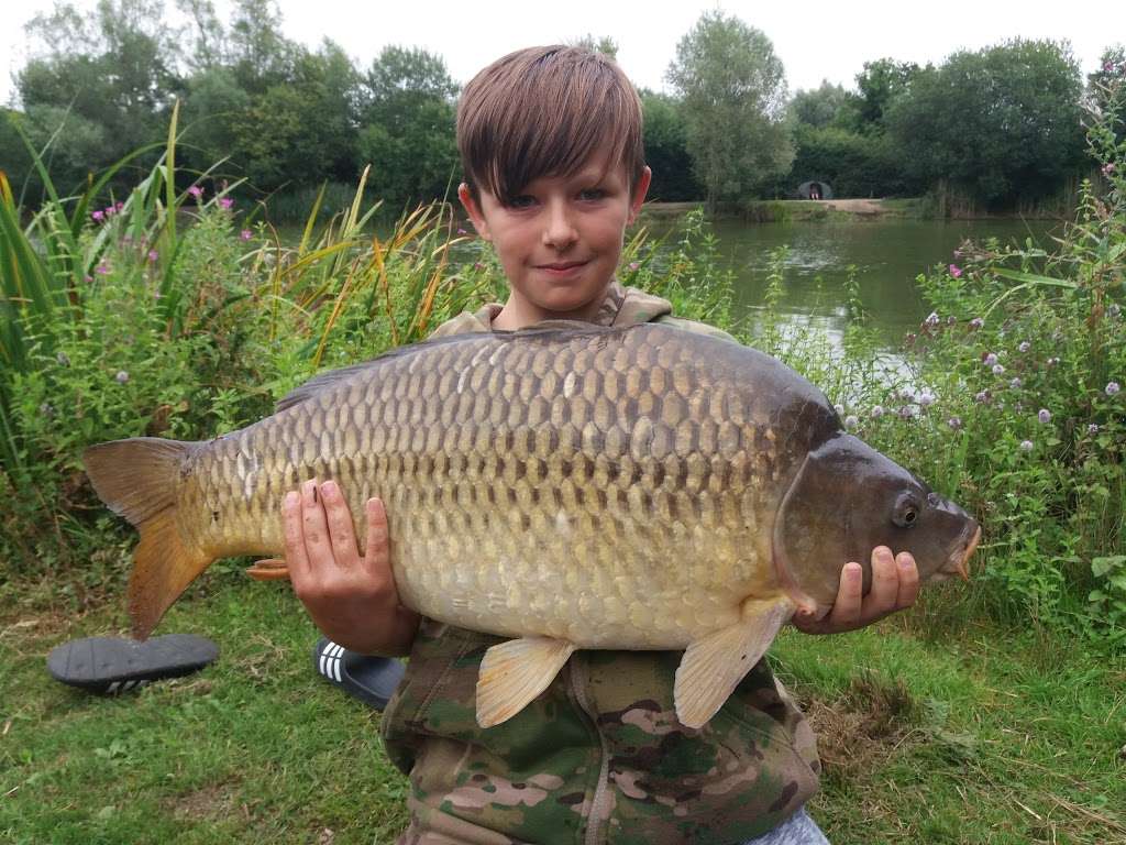 Birds Green Fishing Lakes | Birds Green, Ongar CM5 0FL, UK | Phone: 07847 753699