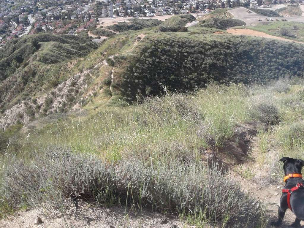 Wilson Canyon Park | 14450 Olive View Dr, Sylmar, CA 91342, USA | Phone: (323) 224-9944