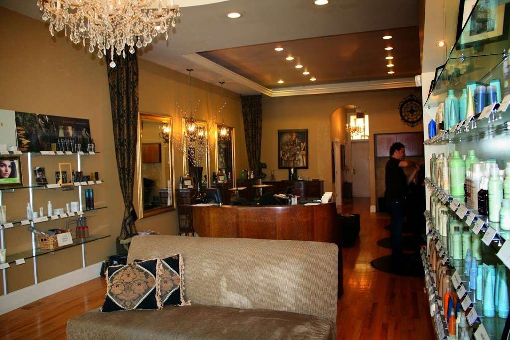 Salon de Vive | 2137 W Belmont Ave, Chicago, IL 60618, USA | Phone: (773) 477-7535