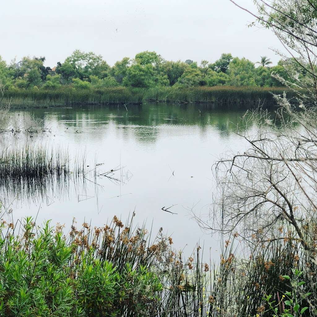 Dairy Mart Pond | San Diego, CA 92154, USA