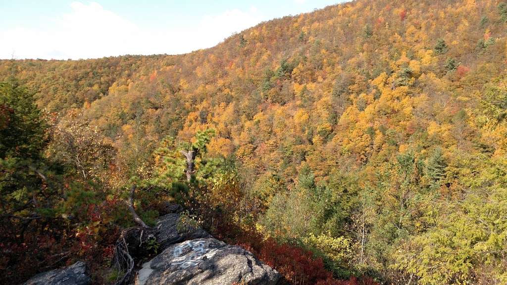 Glen Onoko | Lehigh Gorge State Park Trail, Jim Thorpe, PA 18229, USA