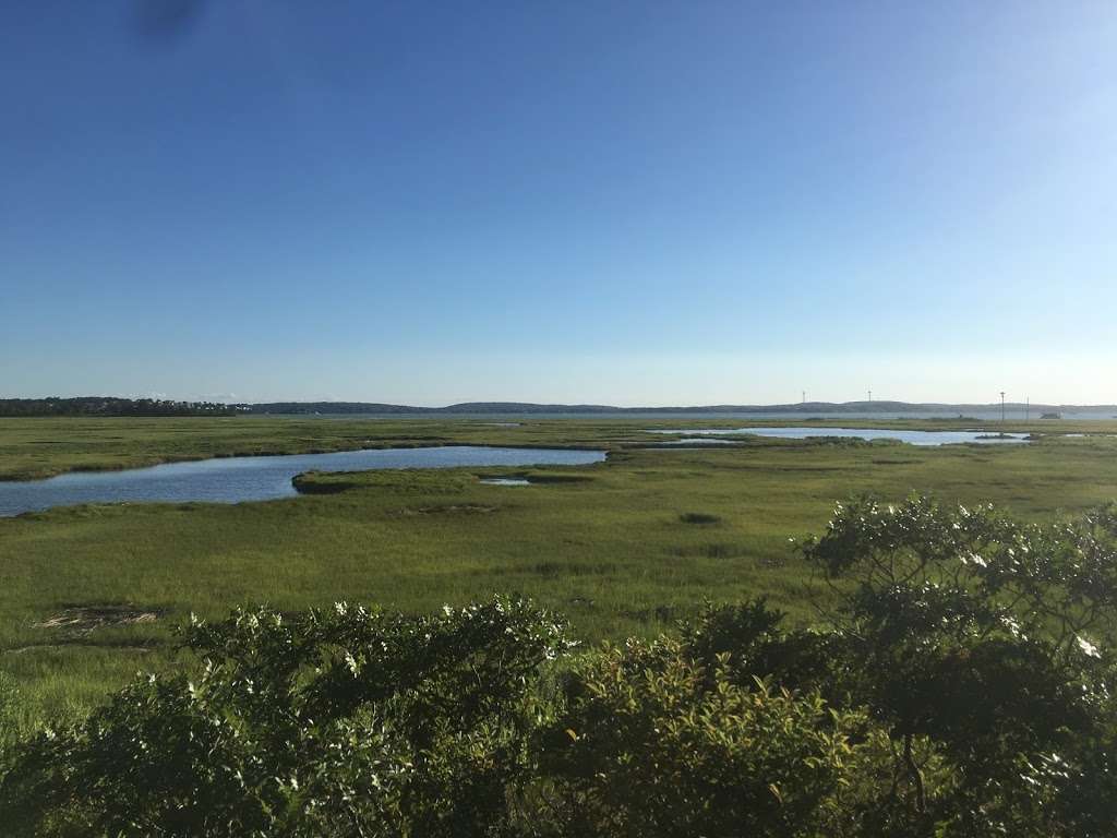 Pines Trail | Parker River National Wildlife Refuge, Rowley, MA 01969, USA | Phone: (978) 465-5753