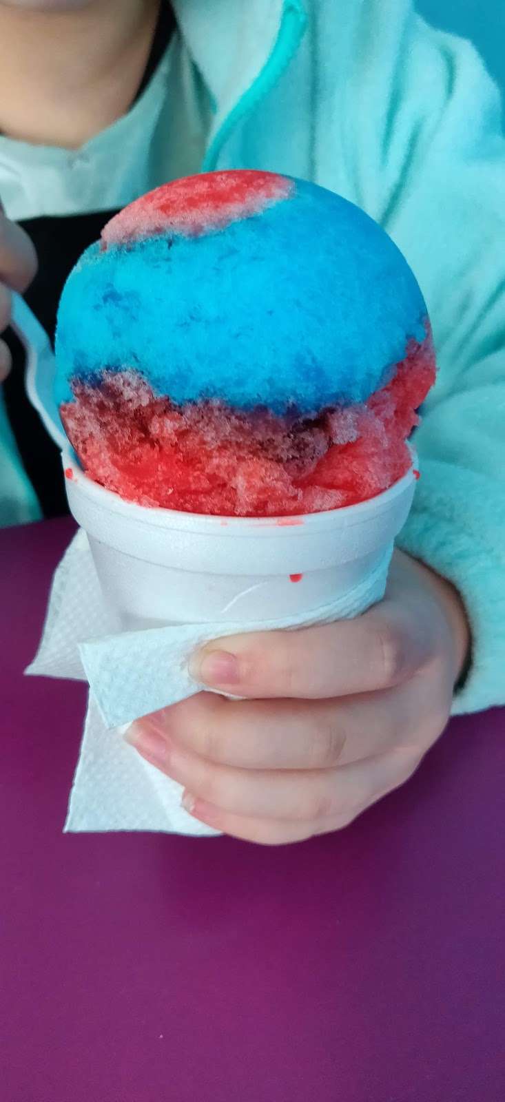 Pelicans Snowballs | 3064 Cypress Gardens Rd, Cypress Gardens, FL 33884, USA | Phone: (863) 875-7408