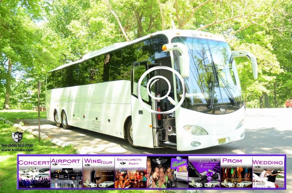 My New Jersey Party Bus | 41 W Edgar Rd, Linden, NJ 07036, USA | Phone: (888) 308-0600