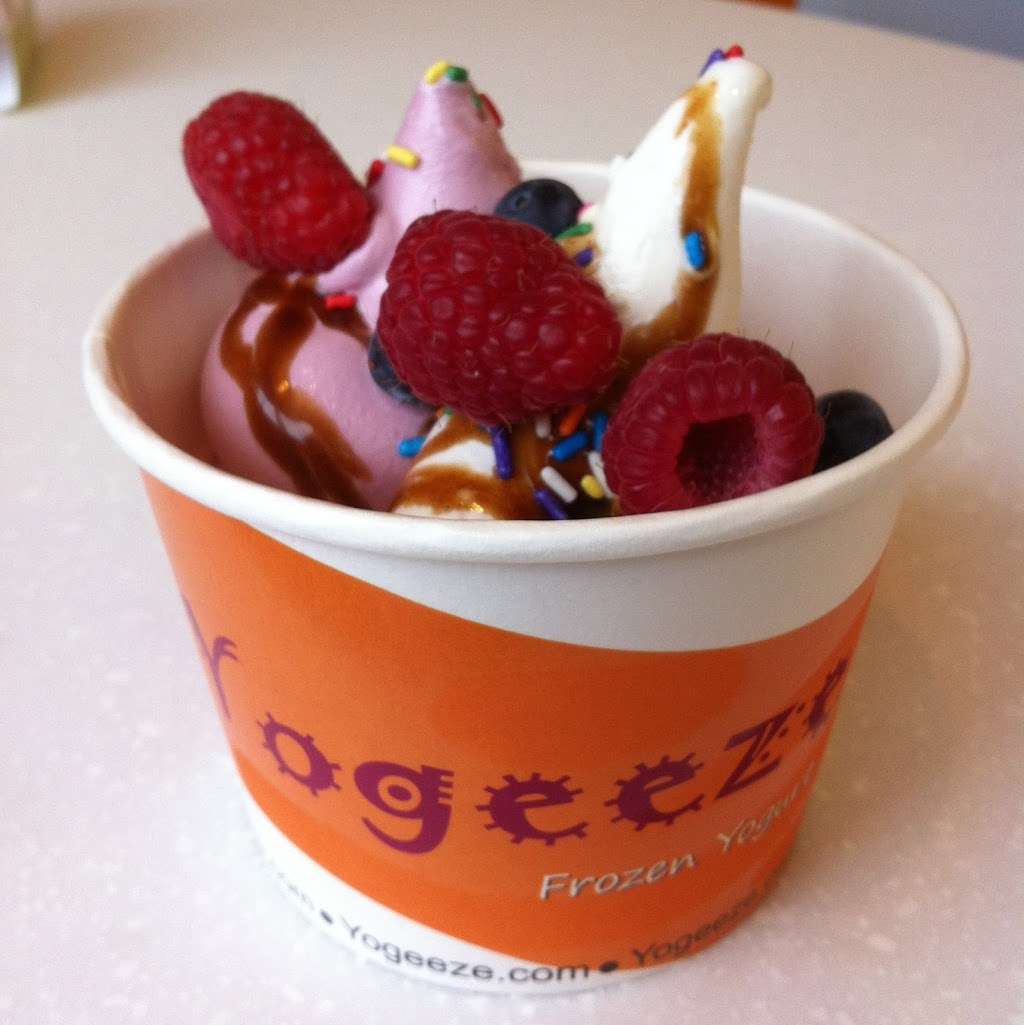 Yogeeze Frozen Yogurt | 2914 Commerce Dr, Johnsburg, IL 60051 | Phone: (815) 344-7932