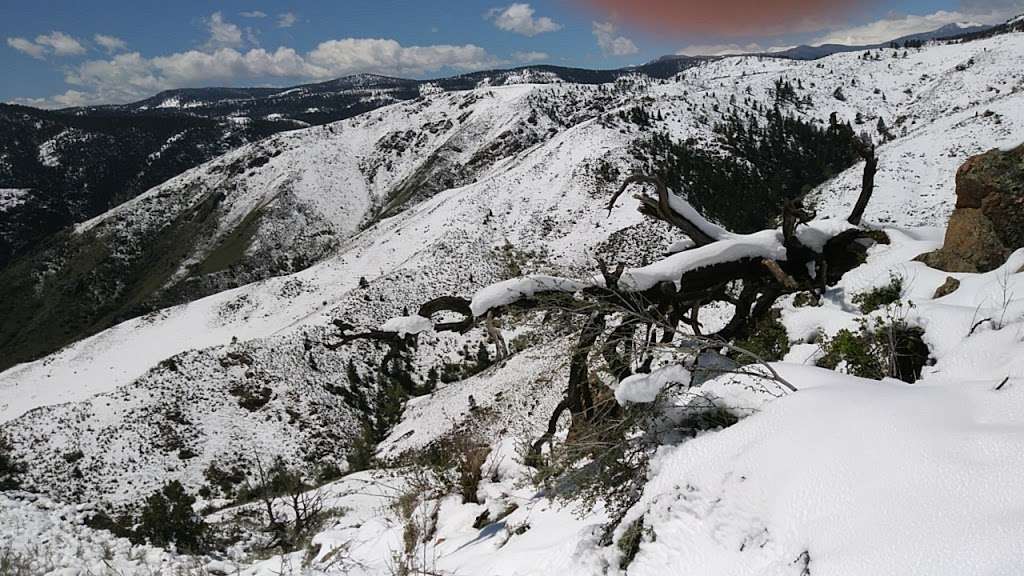 Apex Trailhead | Golden, CO 80401