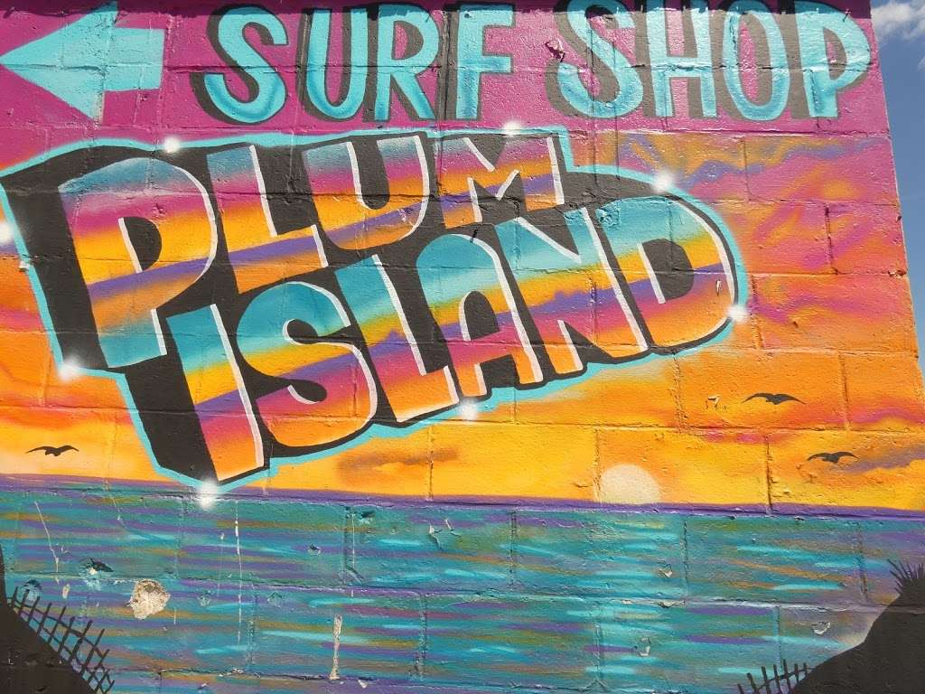 Cottage Surf Shop | 14 Plum Island Blvd C, Newbury, MA 01951, USA | Phone: (978) 255-1008