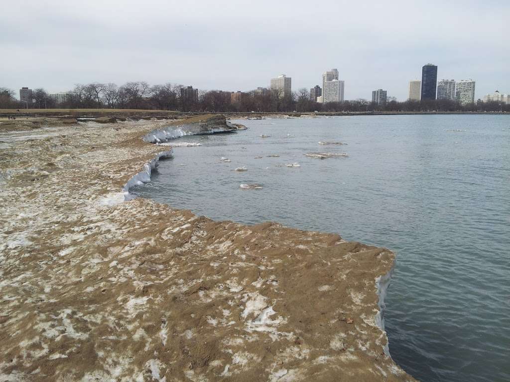 Mondo Dog Beach | Chicago, IL 60613, USA