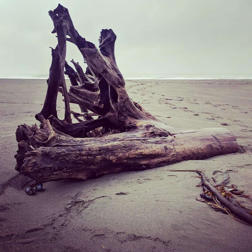 Salmon Creek State Beach | CA-1, Bodega Bay, CA 94923, USA