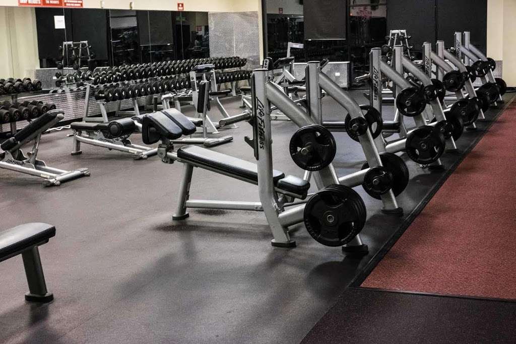 PRO FITNESS GYM | 2172 Lake Cook Rd, Algonquin, IL 60102 | Phone: (847) 458-2600