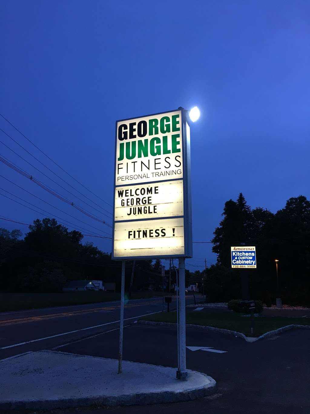 Jungle Fitness: Personal Training | 739 Park Ave, Freehold, NJ 07728, USA | Phone: (732) 513-2866