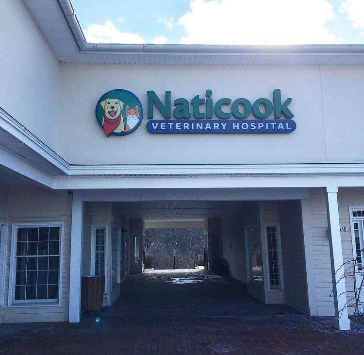 Naticook Veterinary Hospital | 707 Milford Rd #7BC, Merrimack, NH 03054, USA | Phone: (603) 670-2100