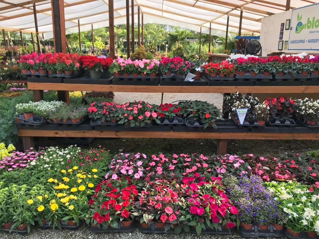 Bloom Nursery | 5150 S Flamingo Rd, Southwest Ranches, FL 33330 | Phone: (954) 822-4096