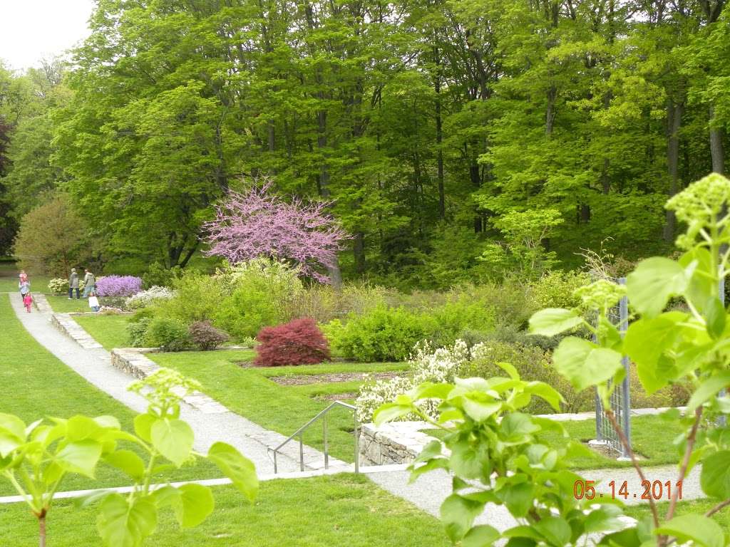 Arnold Arboretum of Harvard University | 125 Arborway, Boston, MA 02130, USA | Phone: (617) 524-1718