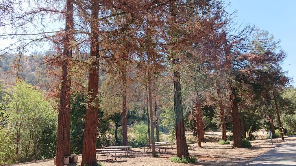 Firestone Scout Reservation | 19001 Tonner Canyon Rd, Brea, CA 92821, USA | Phone: (714) 529-3022