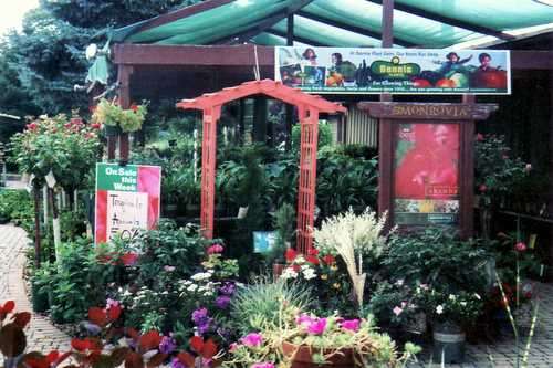 Idas Garden Paradise / Dahl Landscape Company | 14960 W 159th St, Lockport, IL 60491 | Phone: (815) 838-7811