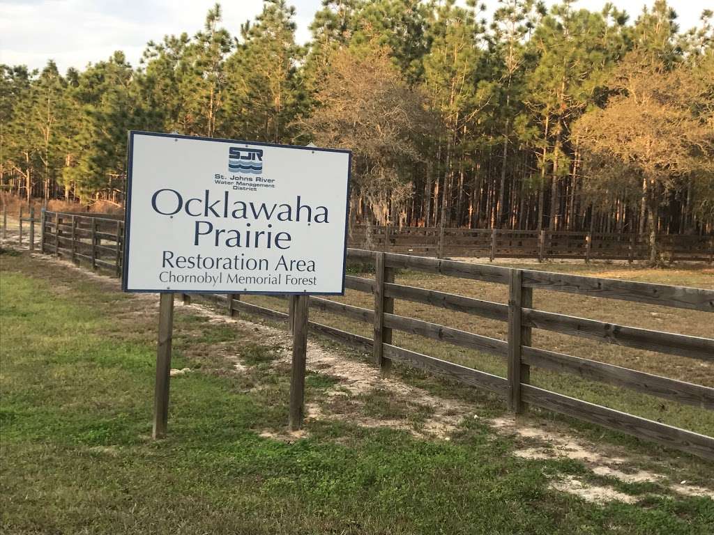 Chernobyl Memorial Forest Parking | 11209 County Rd 464C, Ocklawaha, FL 32179, USA