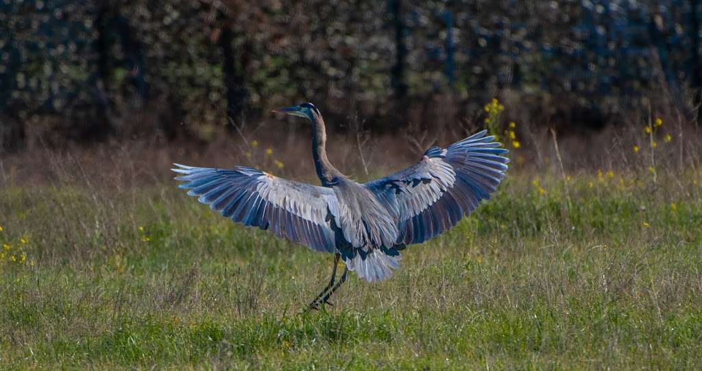 North Kelly Farm Trailhead | 5420 Occidental Rd, Santa Rosa, CA 95401, USA | Phone: (707) 433-1625