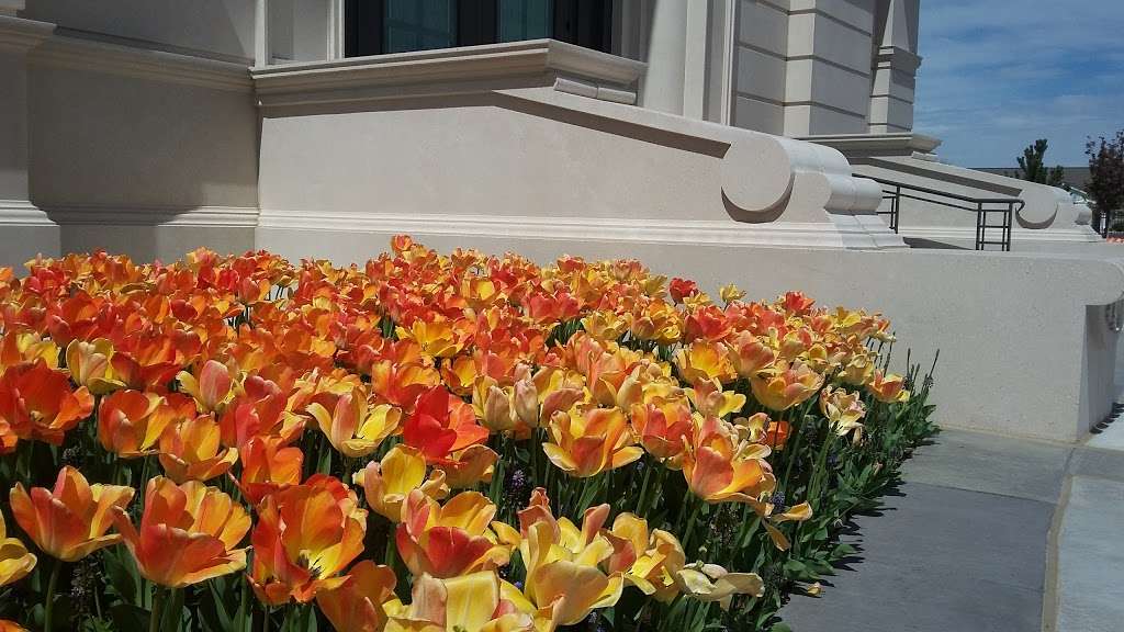 Fort Collins Colorado Temple - The Church of Jesus Christ of Lat | 2180 Majestic Dr, Fort Collins, CO 80528, USA | Phone: (970) 797-4630