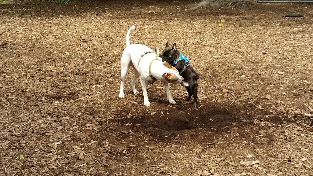 Underbridge Dog Run | 64th Ave. &, Grand Central Pkwy, Forest Hills, NY 11375